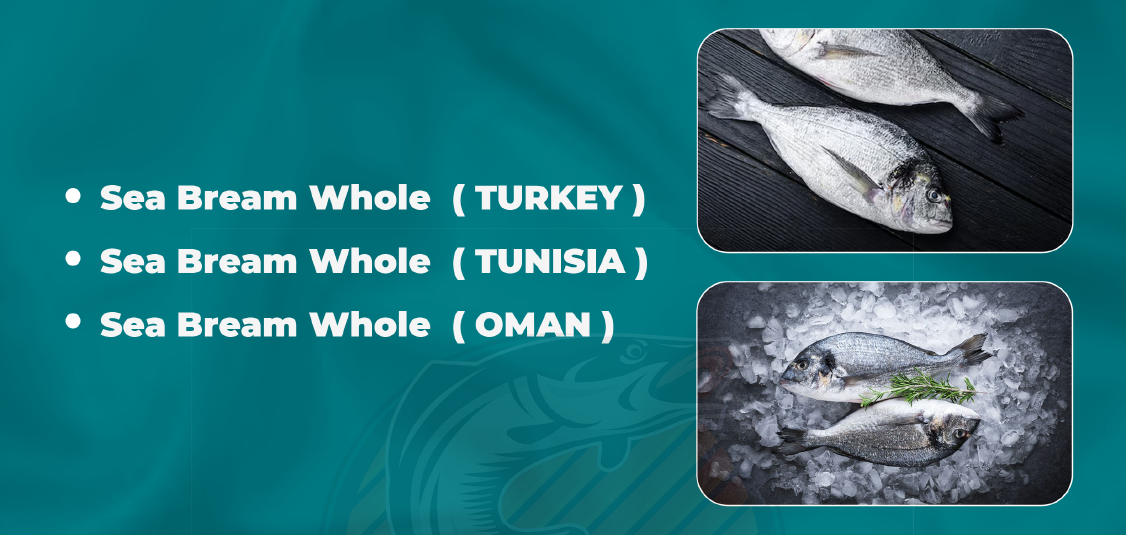 Best frozen fishes in qatar