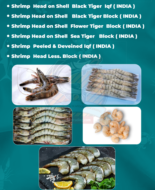 Best quality seafood in qatar|sakkys seafood|