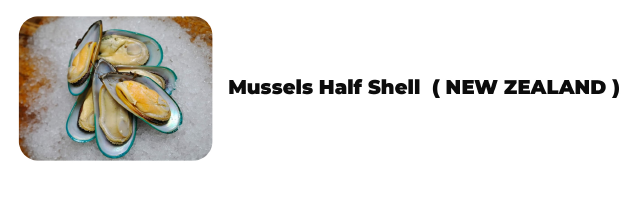Musseles best quality |sakkys seafood|