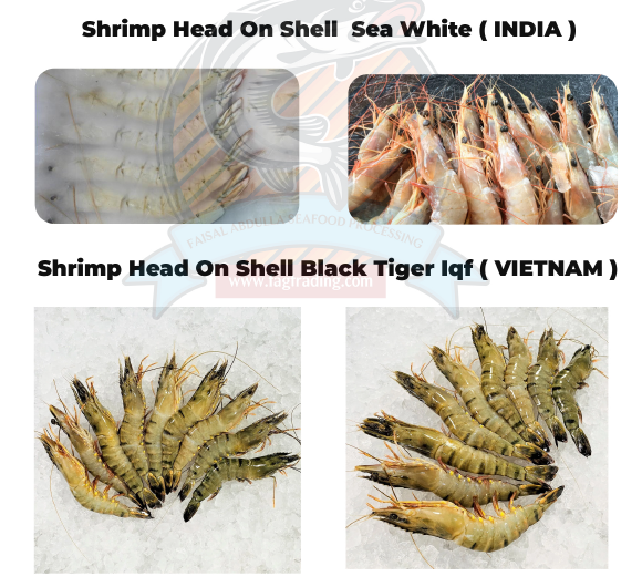 Shrimp from india<br />
best quality seafood from qatar<br />
| Sakkys Seafood Qatar|